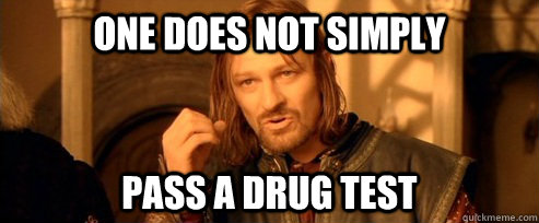 One does not simply pass a drug test  One Does Not Simply