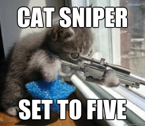 CAT SNIPER
 SET TO FIVE
  cat sniper
