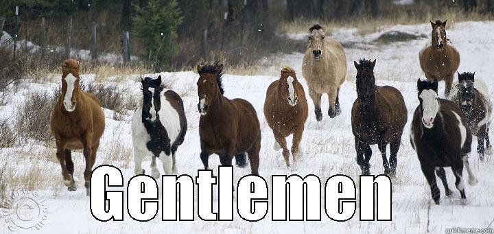  GENTLEMEN Misc
