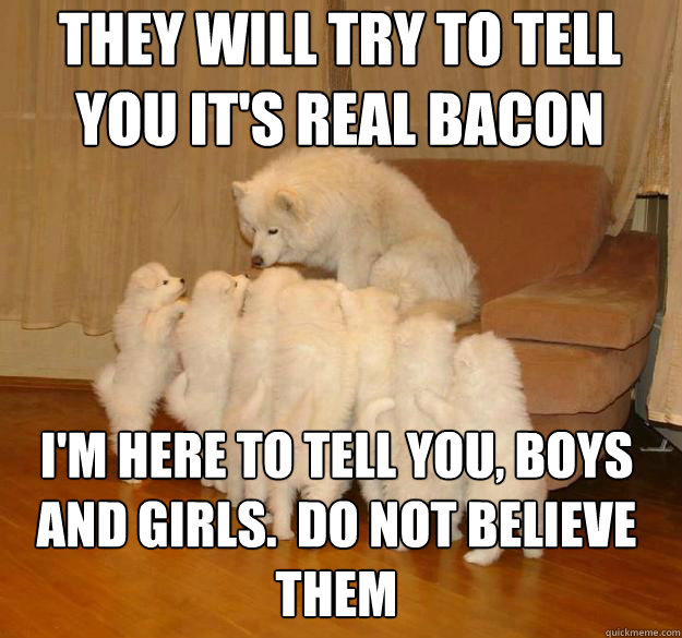 they will try to tell you it's real bacon I'm here to tell you, boys and girls.  do not believe them - they will try to tell you it's real bacon I'm here to tell you, boys and girls.  do not believe them  Misc