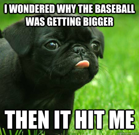 I wondered why the baseball was getting bigger Then it hit me - I wondered why the baseball was getting bigger Then it hit me  The Pun Pug