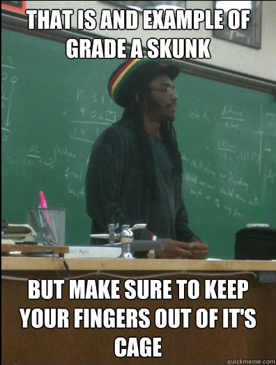 That is and example of Grade A Skunk but make sure to keep your fingers out of it's cage  Rasta Science Teacher