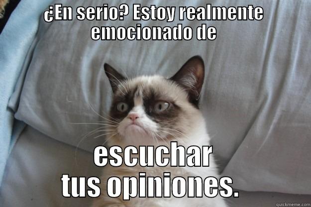 ¿EN SERIO? ESTOY REALMENTE EMOCIONADO DE ESCUCHAR TUS OPINIONES.  Grumpy Cat