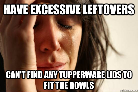 Have excessive leftovers Can't find any Tupperware lids to fit the bowls - Have excessive leftovers Can't find any Tupperware lids to fit the bowls  First World Problems
