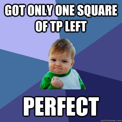 Got only one square of tp left Perfect - Got only one square of tp left Perfect  Success Kid
