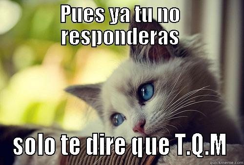 PUES YA TU NO RESPONDERAS SOLO TE DIRE QUE T.Q.M First World Problems Cat