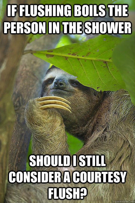 If flushing boils the person in the shower Should I still consider a courtesy flush?  Philososloth
