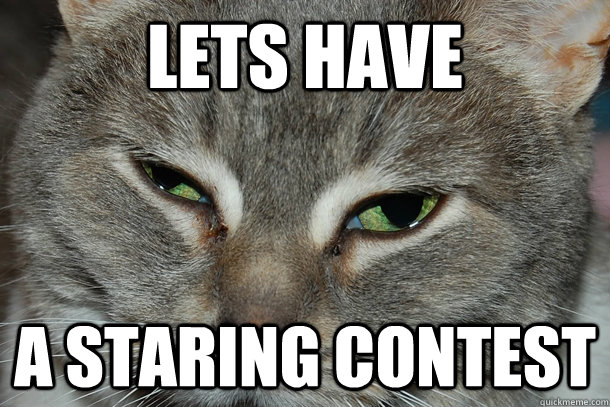 LETS HAVE A STARING CONTEST - LETS HAVE A STARING CONTEST  Misc