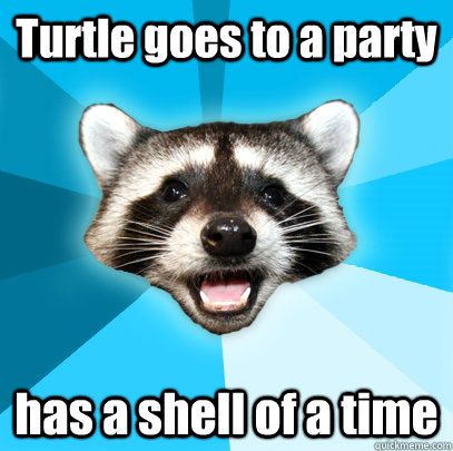 Turtle goes to a party has a shell of a time   Lame Pun Coon