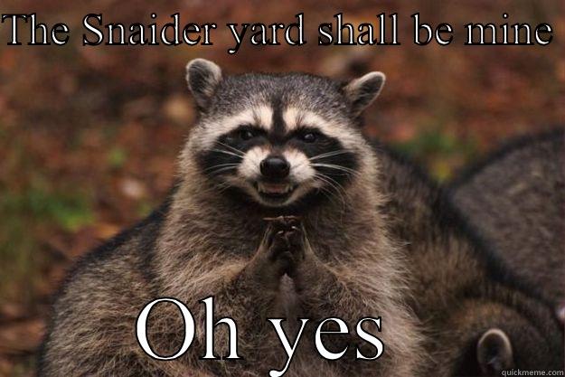 THE SNAIDER YARD SHALL BE MINE  OH YES  Evil Plotting Raccoon
