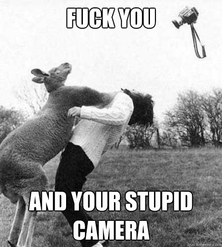 Fuck You And Your Stupid Camera Caption 3 goes here - Fuck You And Your Stupid Camera Caption 3 goes here  confrontational Kangaroo
