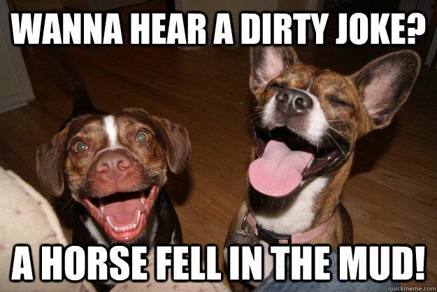 Wanna hear a dirty joke? a horse fell in the mud!  Clean Joke Puppies