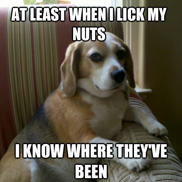 At least when I lick my nuts I know where they've been  judgmental dog