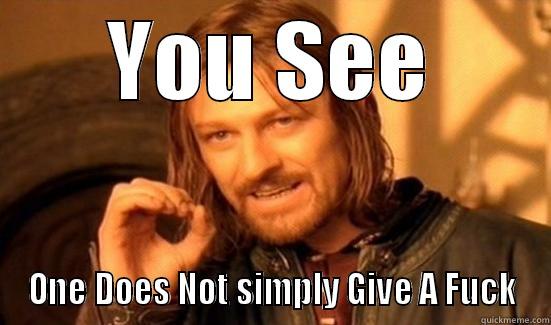 YOU SEE ONE DOES NOT SIMPLY GIVE A FUCK Boromir