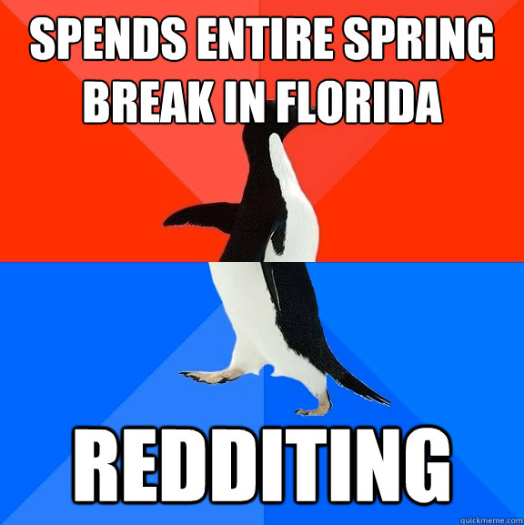 Spends entire spring break in florida Redditing  Socially Awesome Awkward Penguin