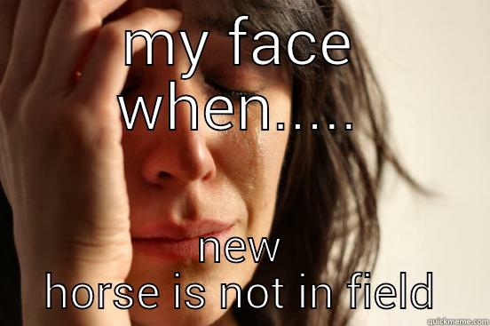 MY FACE WHEN..... NEW HORSE IS NOT IN FIELD First World Problems