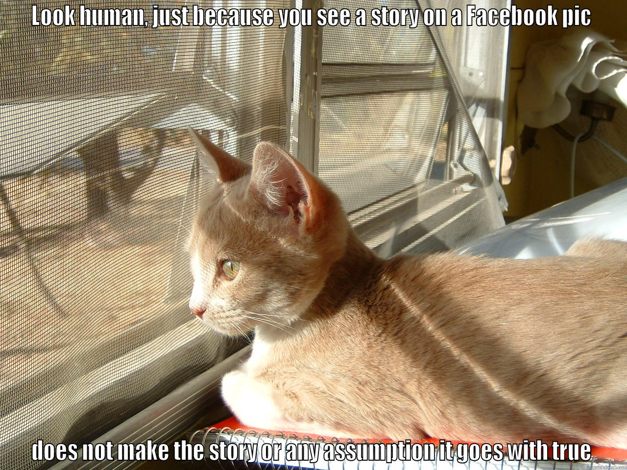 LOOK HUMAN, JUST BECAUSE YOU SEE A STORY ON A FACEBOOK PIC DOES NOT MAKE THE STORY OR ANY ASSUMPTION IT GOES WITH TRUE Misc