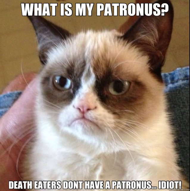 WHAT IS MY PATRONUS? DEATH EATERS DONT HAVE A PATRONUS... IDIOT! - WHAT IS MY PATRONUS? DEATH EATERS DONT HAVE A PATRONUS... IDIOT!  Misc
