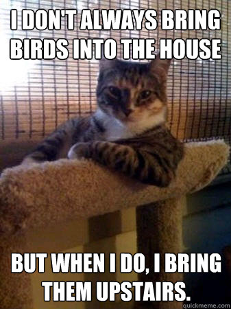 I don't always bring birds into the house but when I do, i bring them upstairs.  The Most Interesting Cat in the World