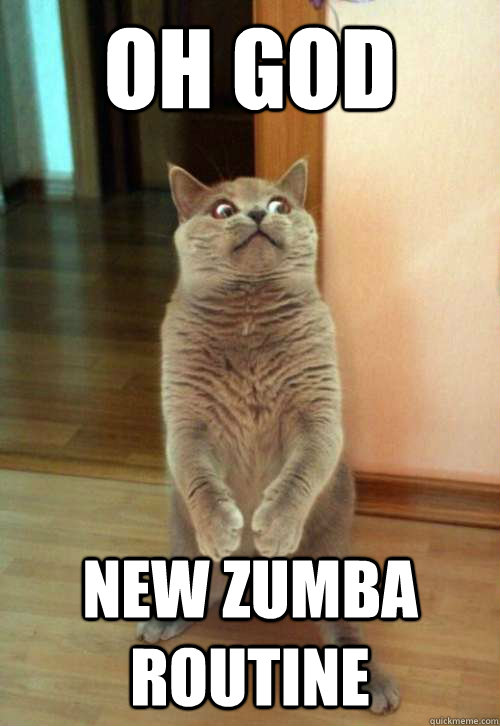 Oh god new zumba routine - Oh god new zumba routine  Horrorcat