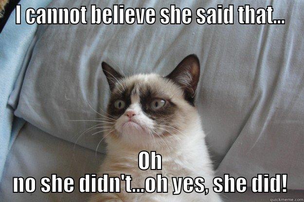 I CANNOT BELIEVE SHE SAID THAT... OH NO SHE DIDN'T...OH YES, SHE DID! Grumpy Cat