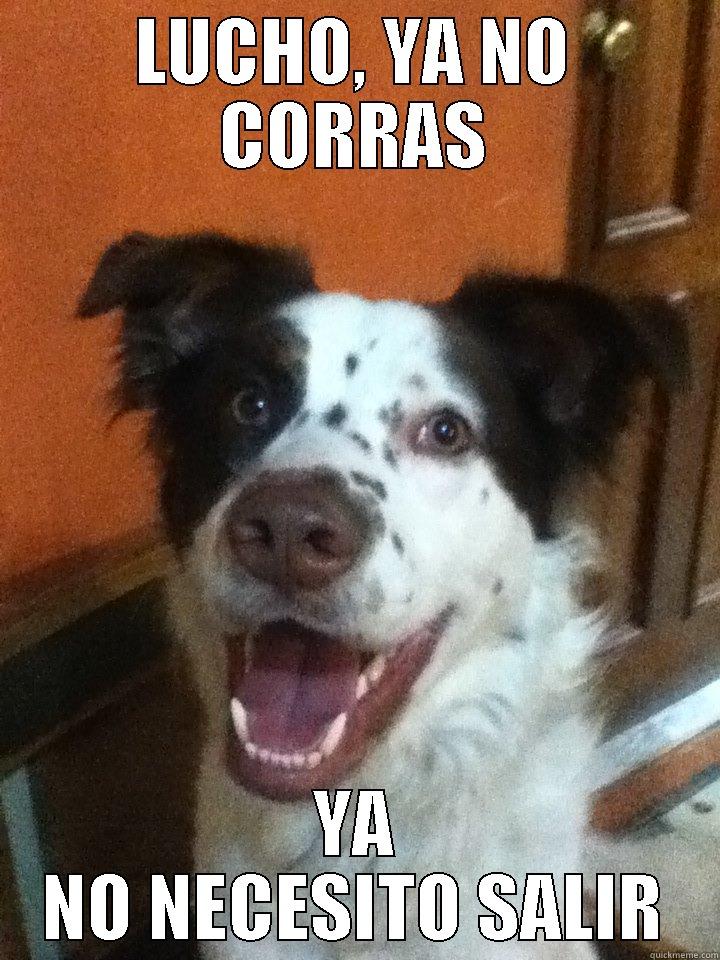 LUCHO, YA NO CORRAS YA NO NECESITO SALIR Misc