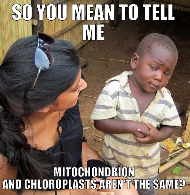 SO YOU MEAN TO TELL ME MITOCHONDRION AND CHLOROPLASTS AREN'T THE SAME? Skeptical Third World Kid