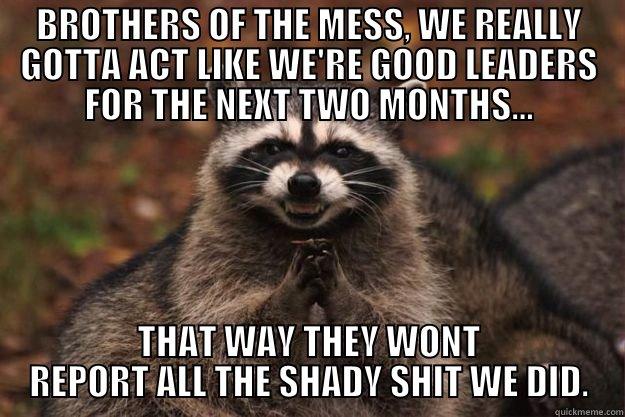 WHAT GOES ON IN THE CHIEFS MEETINGS WHEN DEOC SURVEY SEASON IS ON THE HORIZON - BROTHERS OF THE MESS, WE REALLY GOTTA ACT LIKE WE'RE GOOD LEADERS FOR THE NEXT TWO MONTHS... THAT WAY THEY WONT REPORT ALL THE SHADY SHIT WE DID. Evil Plotting Raccoon