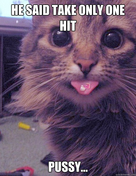 He said take only one hit Pussy... - He said take only one hit Pussy...  LSD Cat