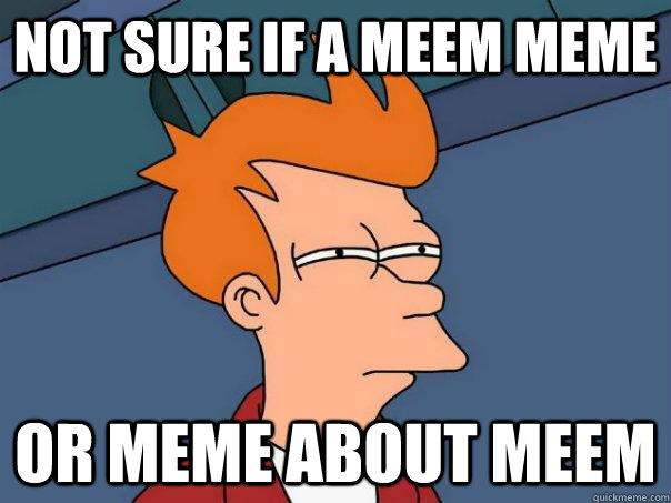 Not sure if a meem meme Or meme about meem  Futurama Fry