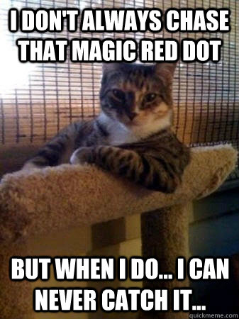 I don't always chase that magic red dot but when I do... I can never catch it...  The Most Interesting Cat in the World