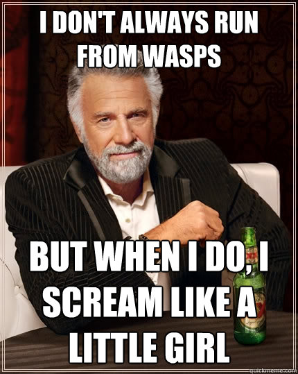 I don't always run from wasps but when i do, i scream like a little girl  The Most Interesting Man In The World
