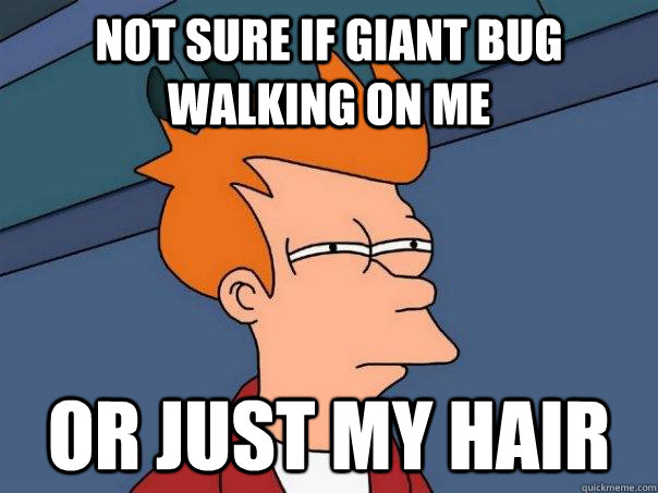 Not sure if giant bug walking on me Or just my hair - Not sure if giant bug walking on me Or just my hair  Futurama Fry