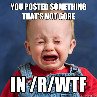 You posted something that's not gore in /r/wtf  