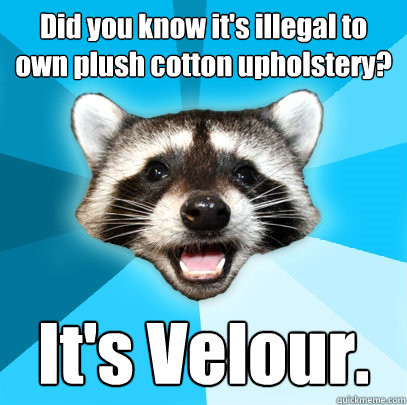 Did you know it's illegal to own plush cotton upholstery? It's Velour.  Lame Pun Coon