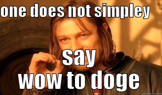 ONE DOES NOT SIMPLEY     SAY WOW TO DOGE Boromir