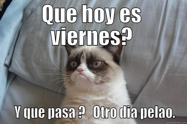 QUE HOY ES VIERNES?   Y QUE PASA ?   OTRO DIA PELAO. Grumpy Cat