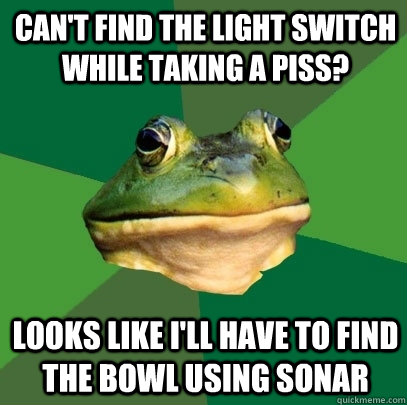 Can't find the light switch while taking a piss? looks like I'll have to find the bowl using sonar  Foul Bachelor Frog