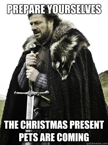 Prepare yourselves the christmas present pets are coming  Prepare Yourself