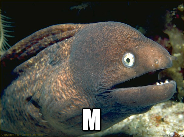  M -  M  Bad Joke Eel