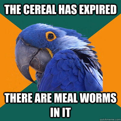the cereal has expired there are meal worms in it  Paranoid Parrot