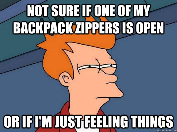 Not sure if one of my backpack zippers is open or if i'm just feeling things  Futurama Fry