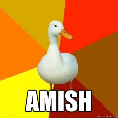  Amish  Tech Impaired Duck