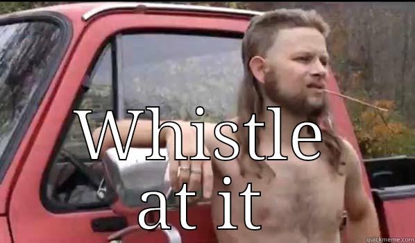  WHISTLE AT IT Almost Politically Correct Redneck