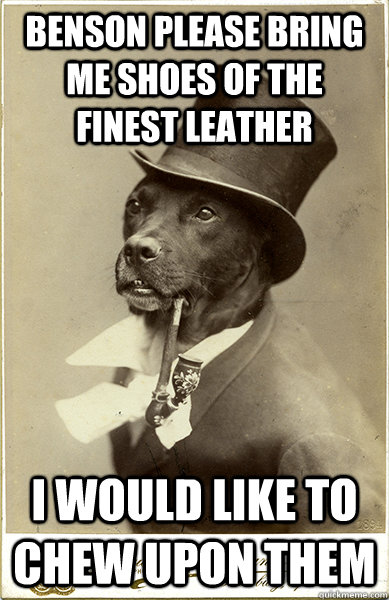 benson please bring me shoes of the finest leather i would like to chew upon them  Old Money Dog