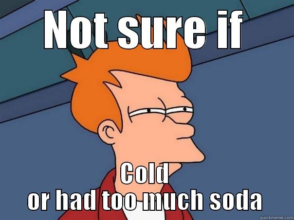 NOT SURE IF COLD OR HAD TOO MUCH SODA Futurama Fry