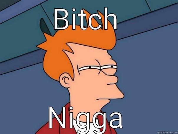 The Bitch - BITCH NIGGA Futurama Fry