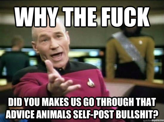 Why the fuck DID YOU MAKES US GO THROUGH THAT ADVICE ANIMALS SELF-POST BULLSHIT?  Annoyed Picard HD