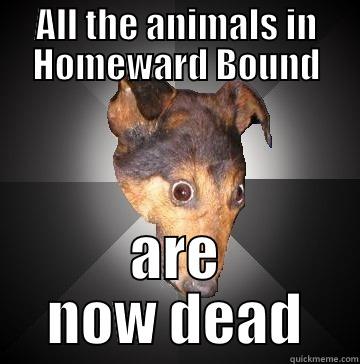 homeward bound - ALL THE ANIMALS IN HOMEWARD BOUND ARE NOW DEAD Depression Dog