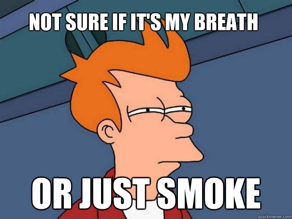 Not sure if it's my breath Or just smoke  Futurama Fry